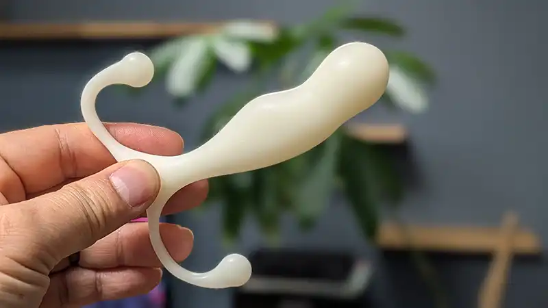 アネロスマキシマスを手に持つ写真